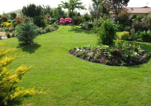 Jardin