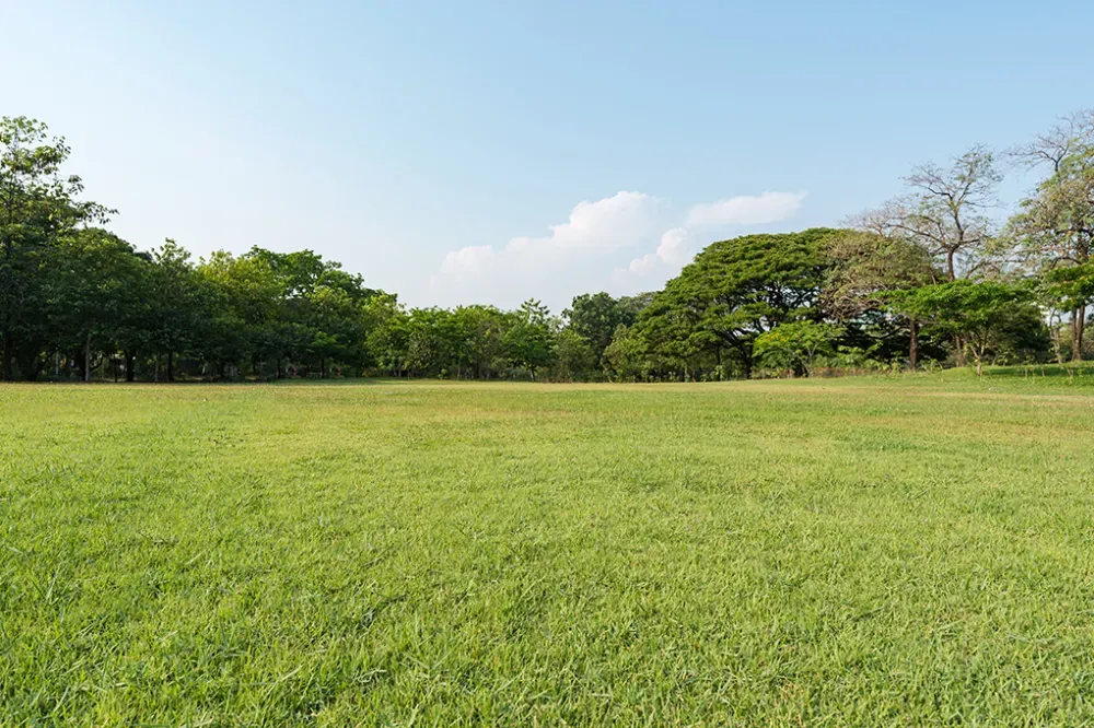 Tonte de jardin près de Luzech